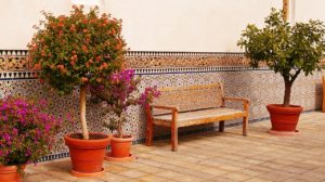 Gartenpflanzen als Sonnenschutz
