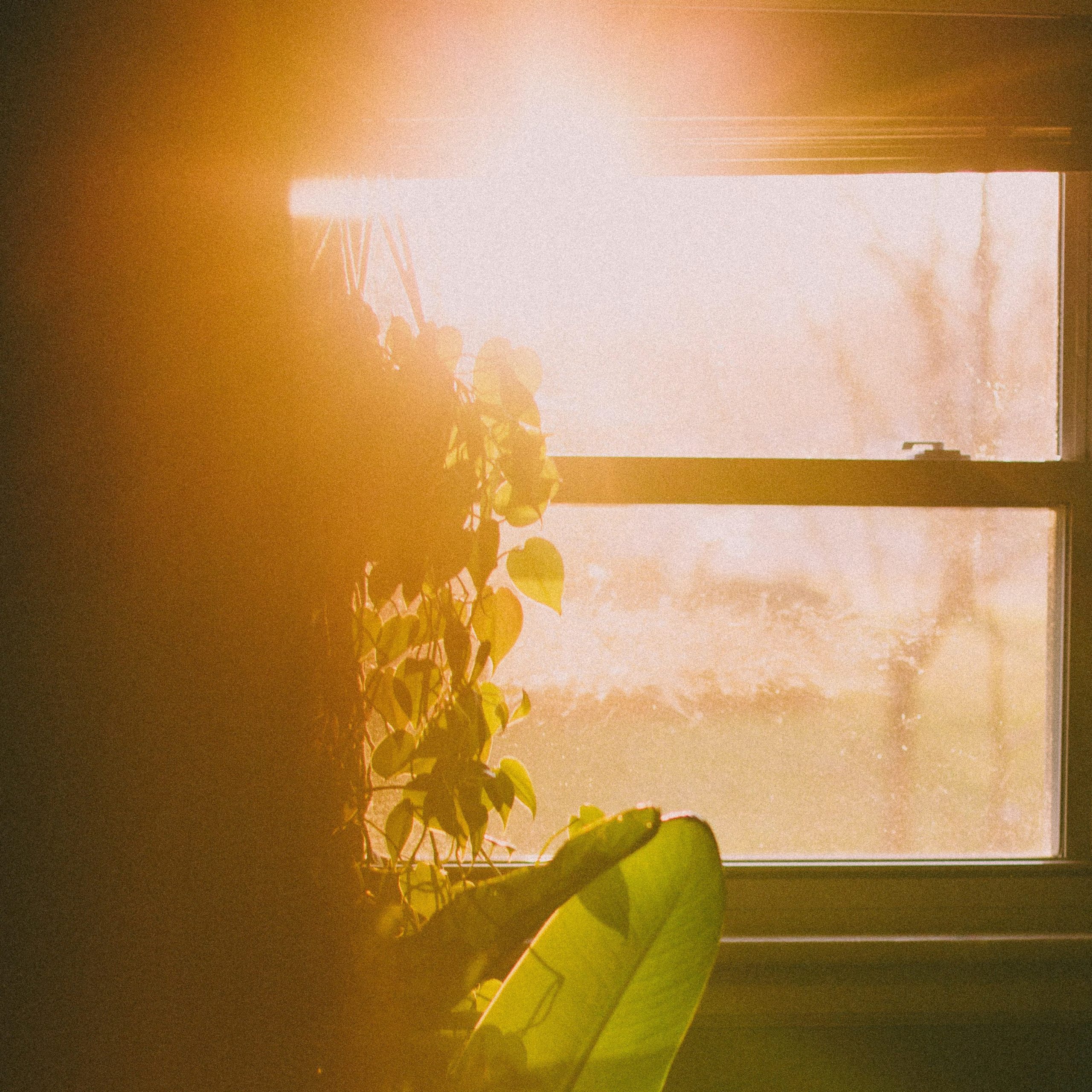 Sonne auf Fenster