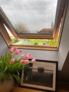 VaroSun an Dachfenster 2