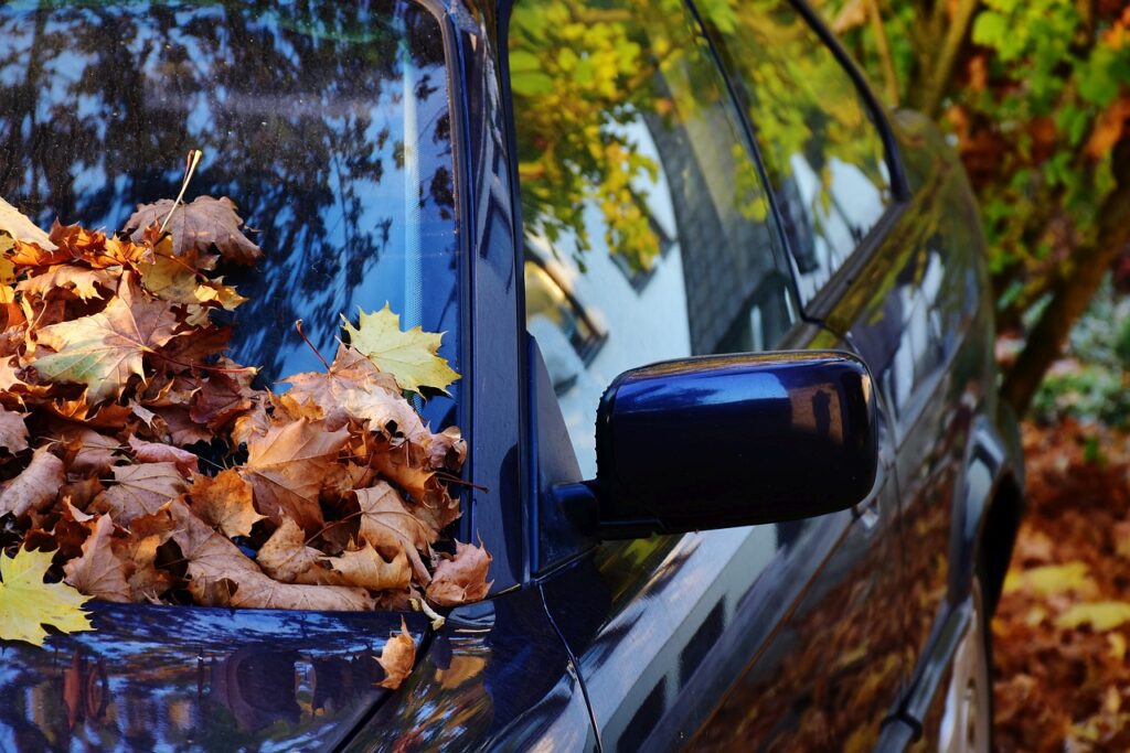 Herbstlaub bedeckt die Motorhaube eines blauen Autos.