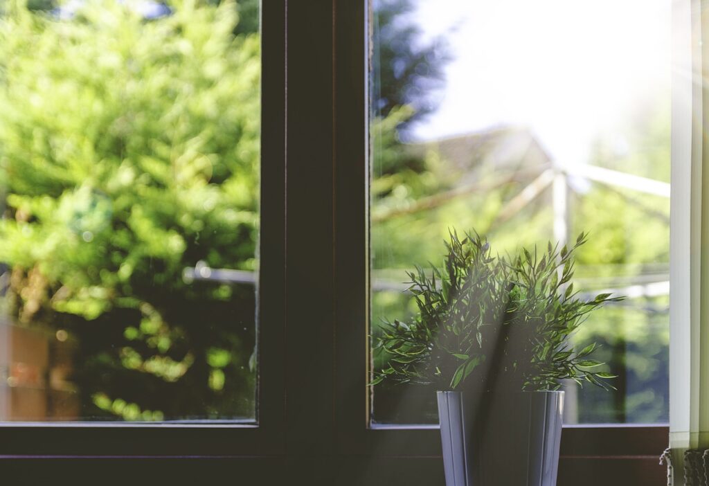 Grüne Pflanze in einer modernen Vase am sonnigen Fenster mit Gartenblick.