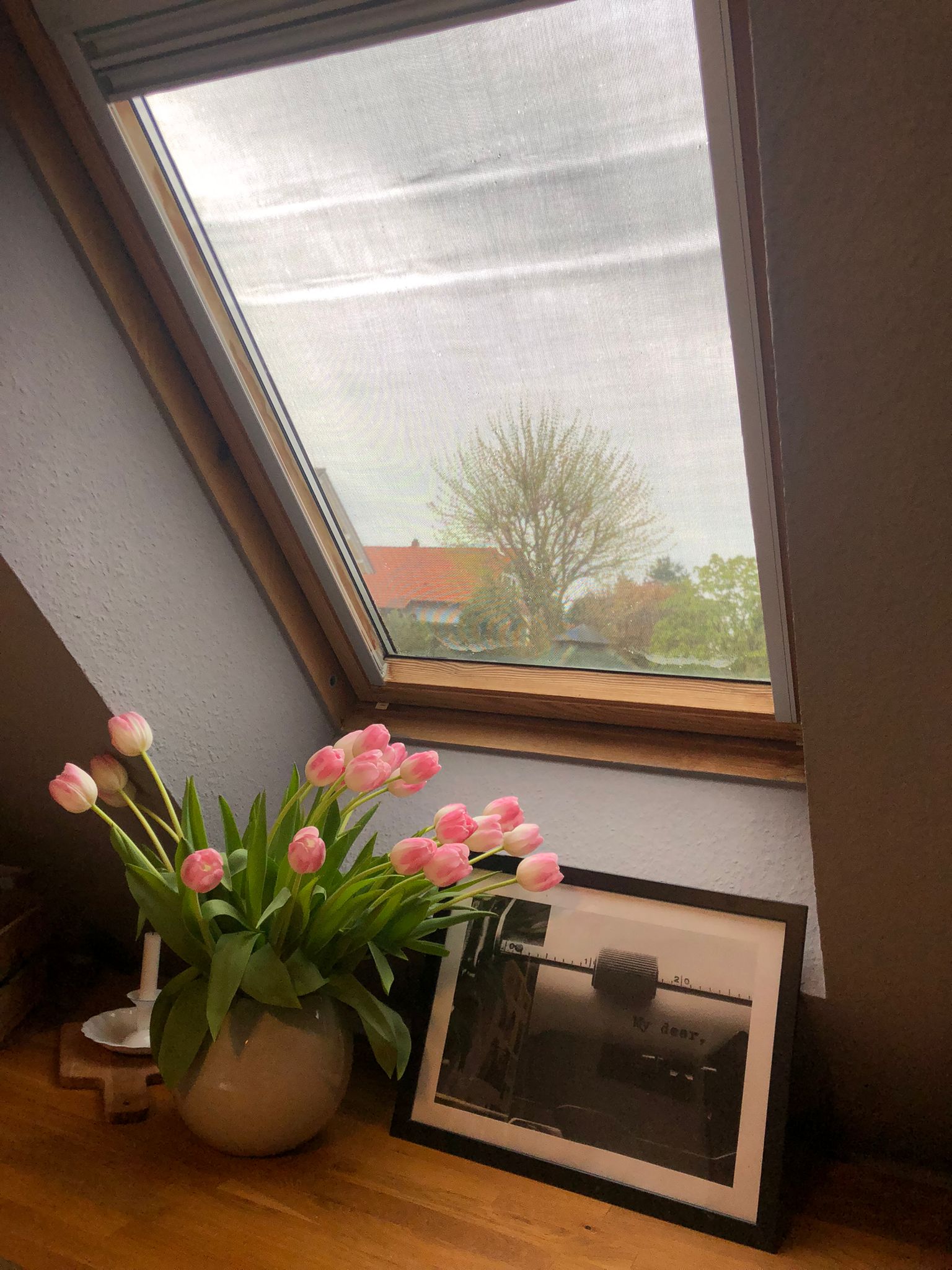 Dachflächenfenster von innen mit hellem Gewebeschutz, Blick auf Landschaft mit Haus und Baum